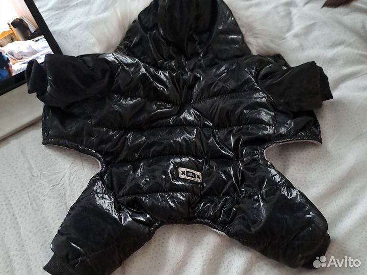 Зимний костюм для собачки