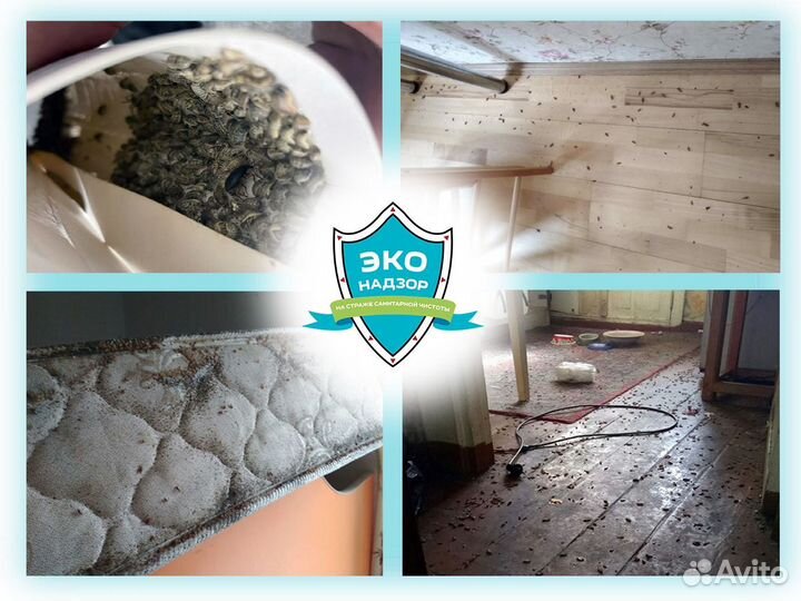 Уничтожение тараканов клопов комаров дезинфекция