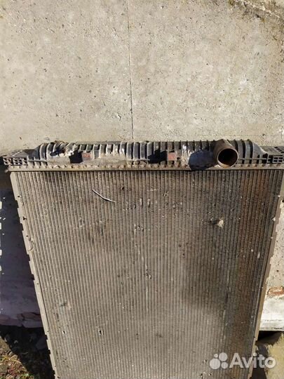 Радиатор Рено Премиум дхи