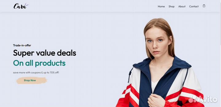 Разработка сайтов