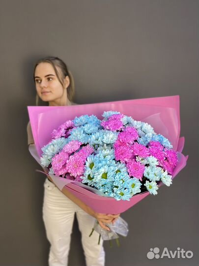 Хризантема кустовая 21 51 101