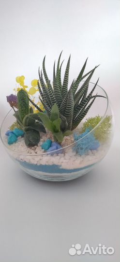 Мастер класс для детей и взрослых - Флорариум