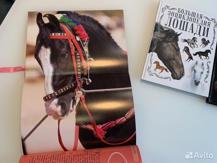 Книги про лошадей