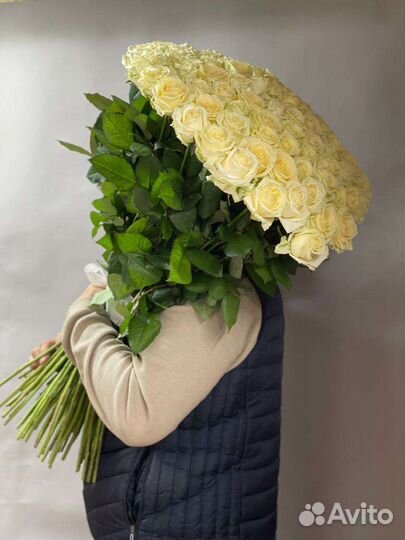 Розы Букеты Цветы Роза Букет