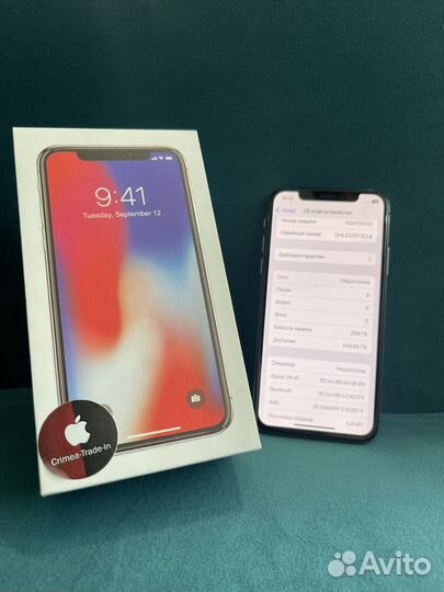 iPhone X, 256 ГБ