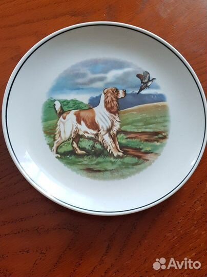 Настенные тарелки 2 шт