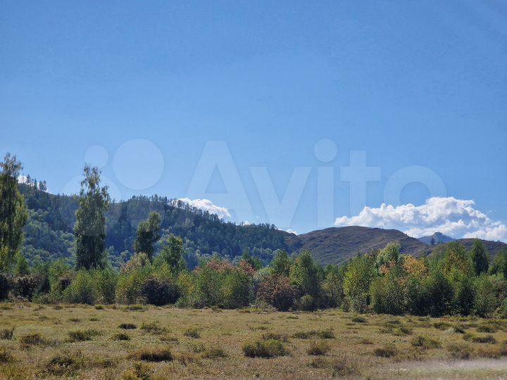 Участок 10 сот. (СНТ, ДНП)