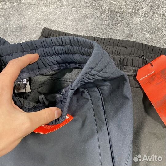 Штаны брюки The North Face gore-tex (s-2xl)