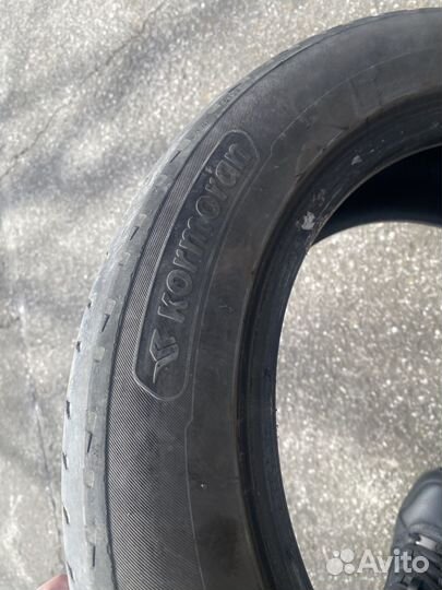 Kormoran Road Performance 195/55 R15