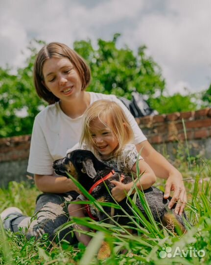 Дейла — спасённый щенок в добрые руки