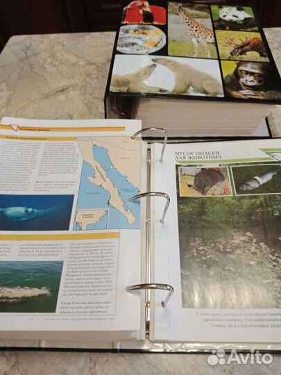 Энциклопедия