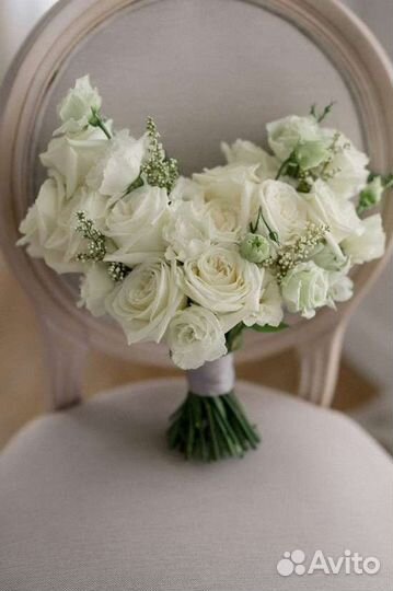 Виола Букет