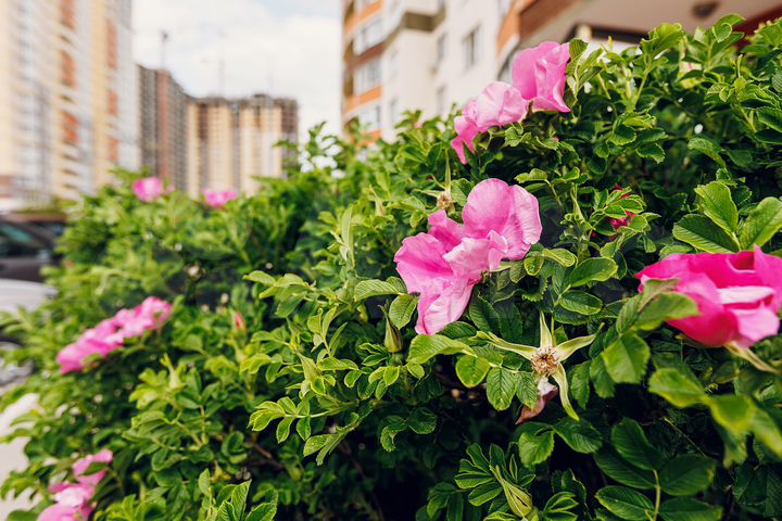 2-к. квартира, 68,6 м², 12/22 эт.