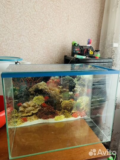 Аквариум