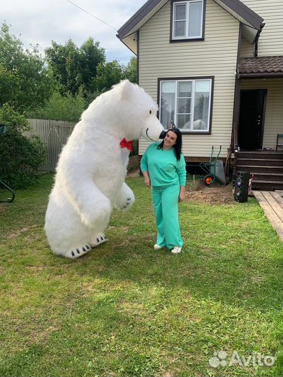 Белый мишка поздравление