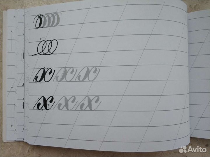 Каллиграфия кистью. Прописи кириллицей. Суворова А