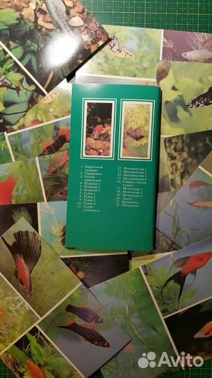 Наборы открыток