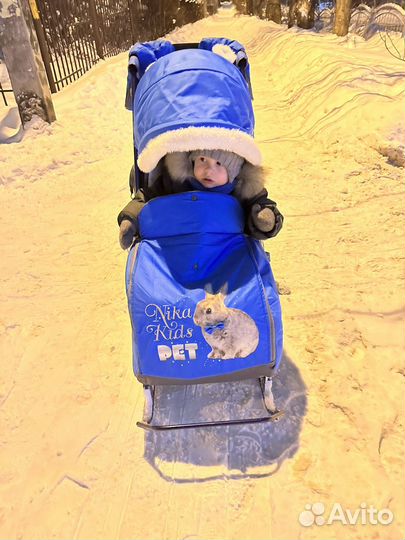 Санки коляска ника