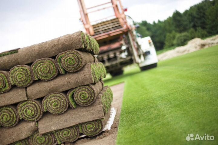 Укладка газона стандарт