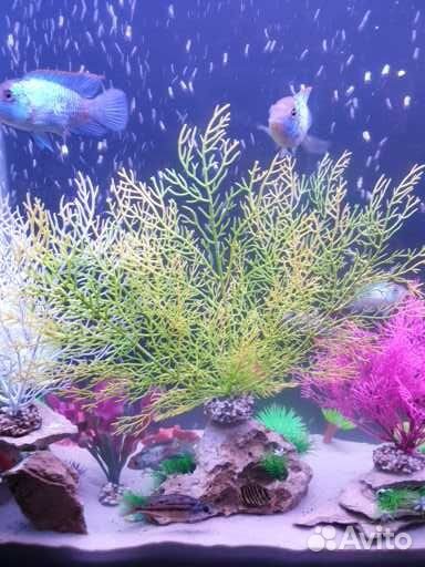 Аквариум 200 Л