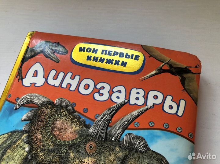 Книга детская Динозавры, серия Мои первые книжки