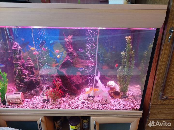 Аквариум с тумбой 280 литров без рыбок