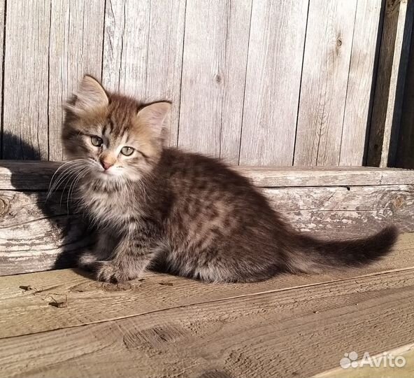 Маленькая девочка в хорошие руки