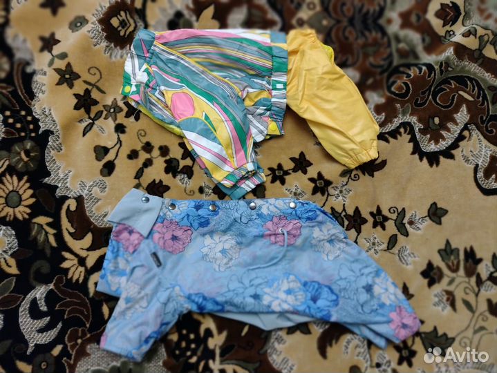 Одежда для собак