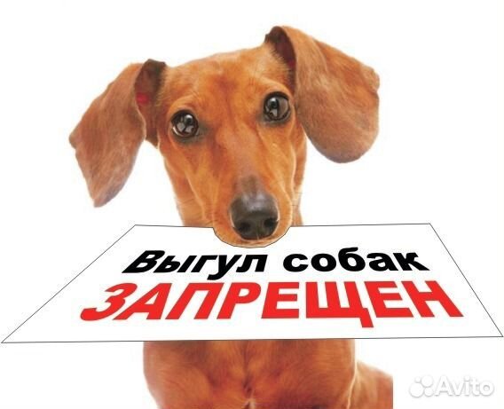 Надомные знаки+ Вывески, Таблички