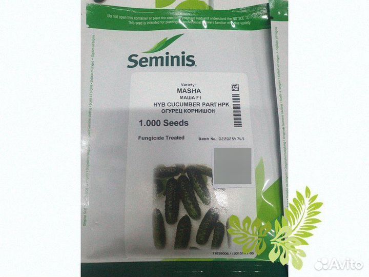 Семена Огурец Маша гибрид 1000с Семинисре