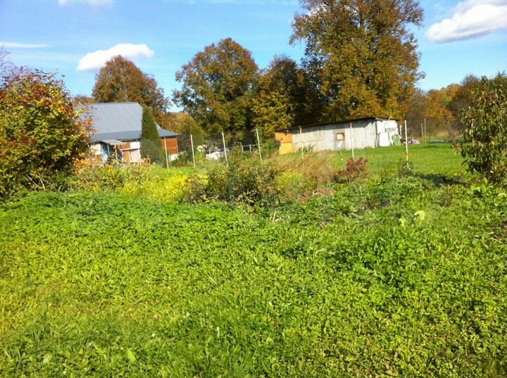 Участок 20 сот. (ИЖС)