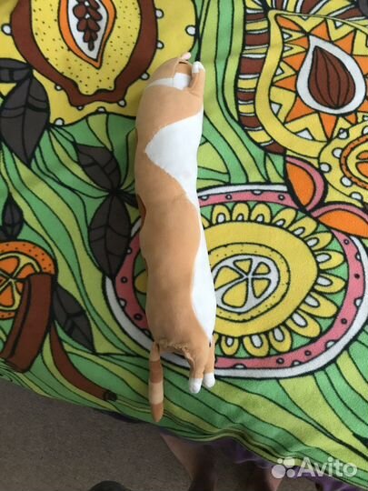 Кот батон, колбаска