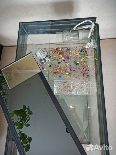 Аквариум террариум с островком