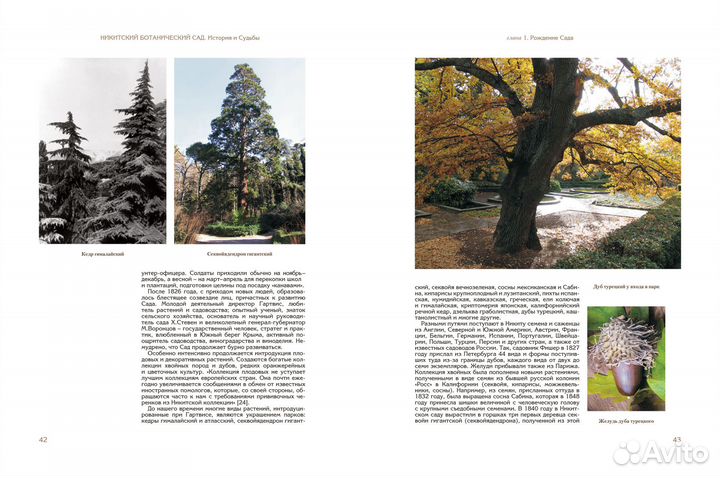 Никитский ботанический сад. История и Судьбы