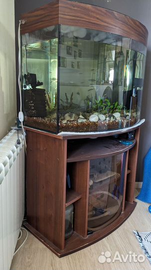 Аквариум с тумбой 180 литров