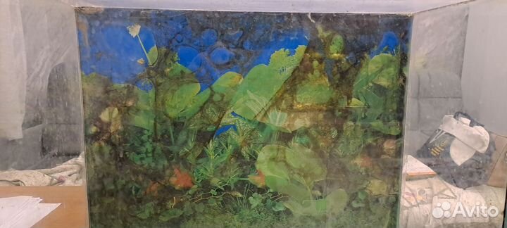Аквариум