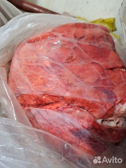 Корма для животных