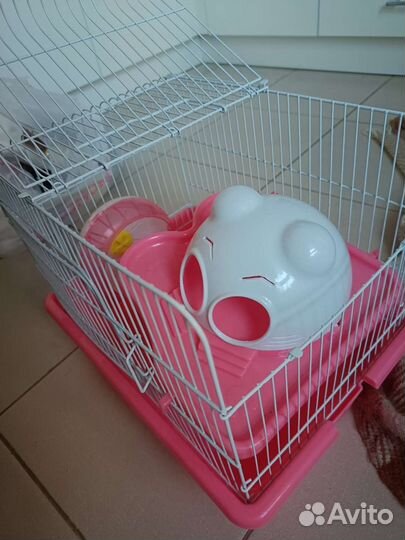 Клетка для грызунов бесплатно отдам