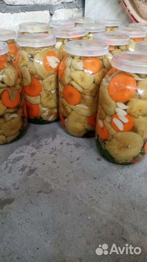 Грузди соленые