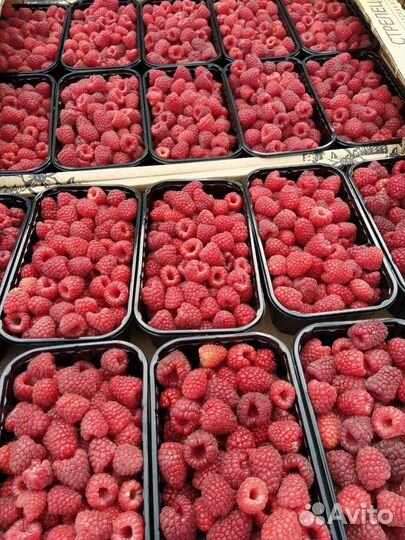 Разнорабочий