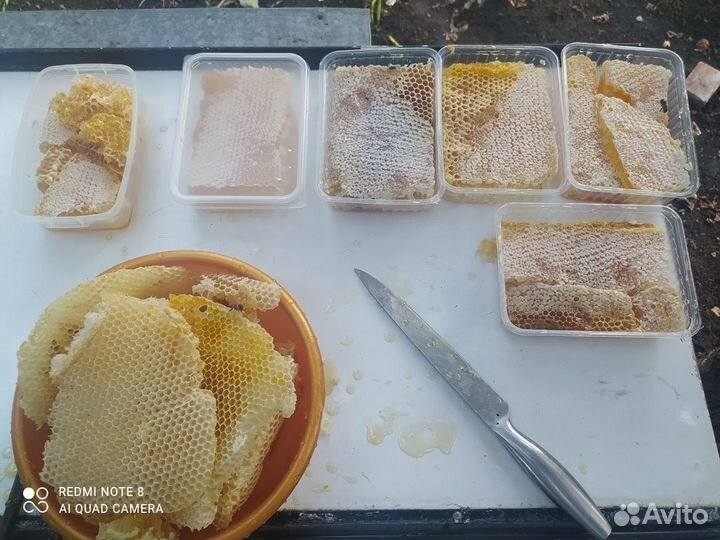 Мед лесной (бортевой)