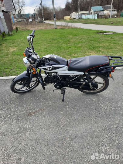 Alpha rx 125