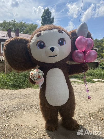 Шуточный стриптиз звезда поздравление аниматор