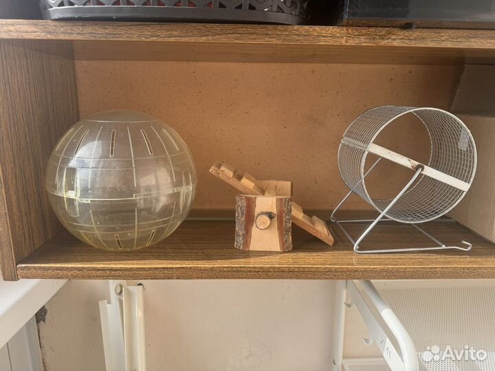 Игрушка для хомяка