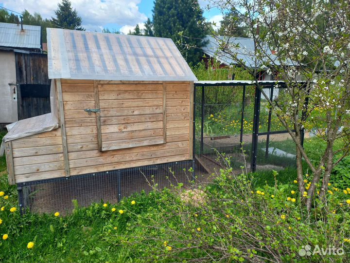 Домик для куриц с выгулом