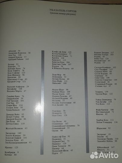 Хобби и отдых