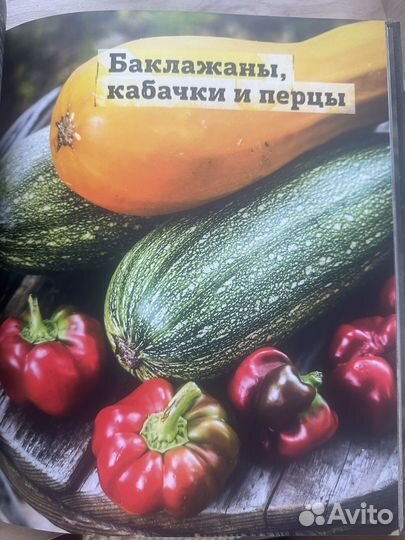 Книга про овощи