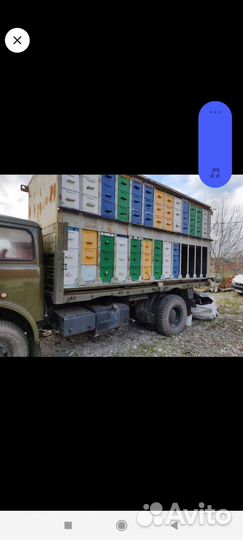 Продаётся пчелопавельон на 52 улика