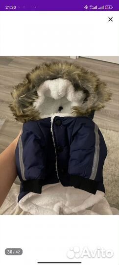 Зимний костюм для собак