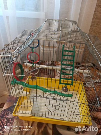 Клетка для попугаев